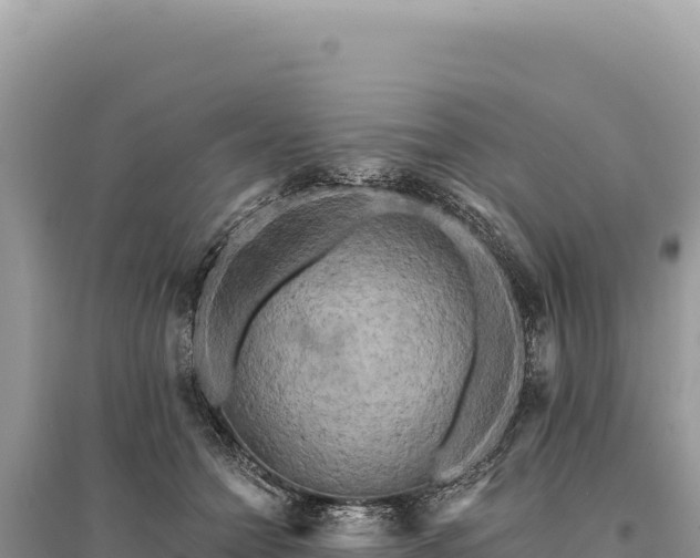X0000095510558200712211242