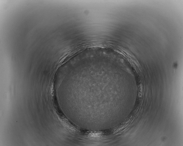 X0000095510560200712211242