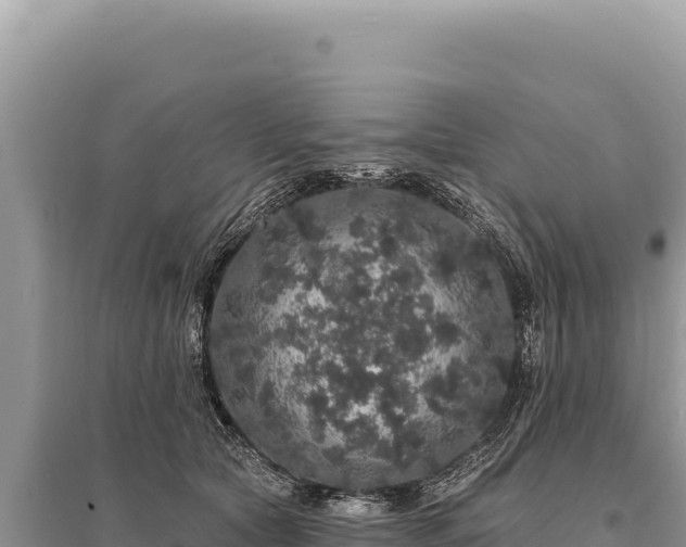 X0000095510561200712211242