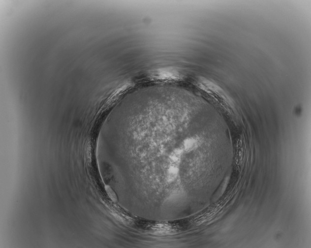 X0000095510562200712211242