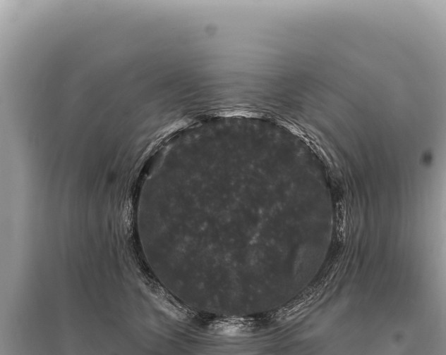 X0000095510563200712211242