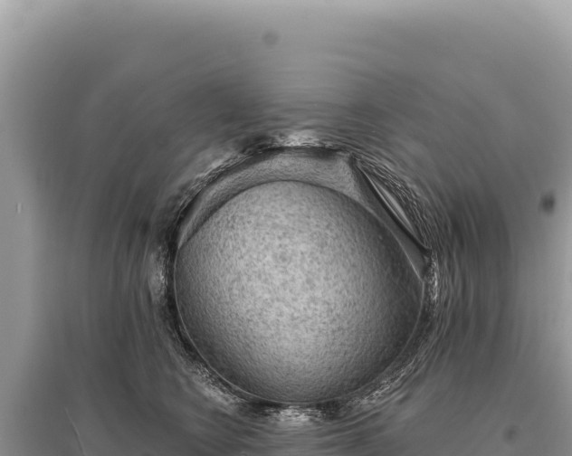 X0000095510566200712211242
