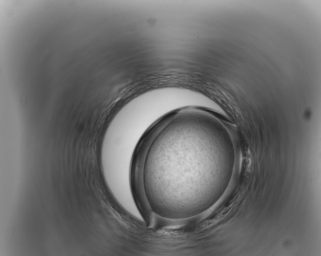X0000095510568200712211242
