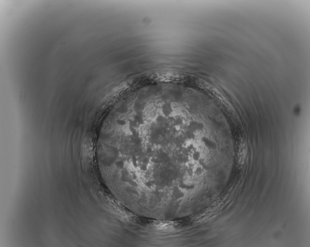 X0000095510569200712211242