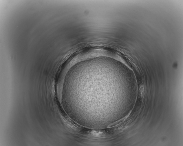 X0000095510570200712211243