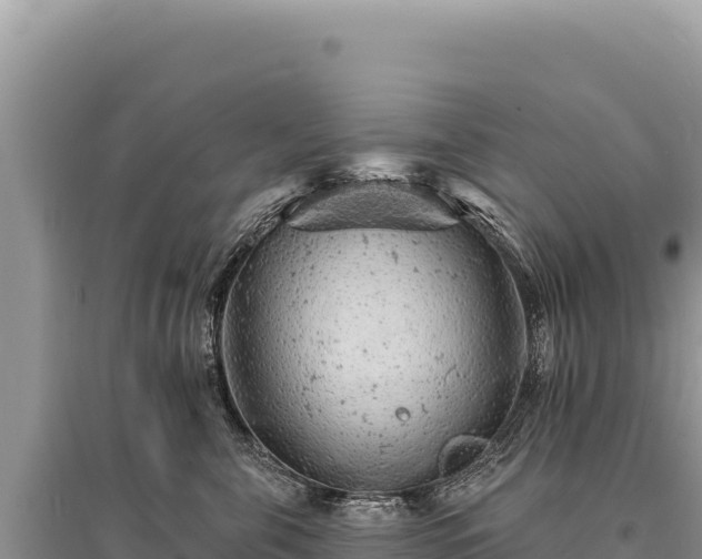 X0000095510571200712211243
