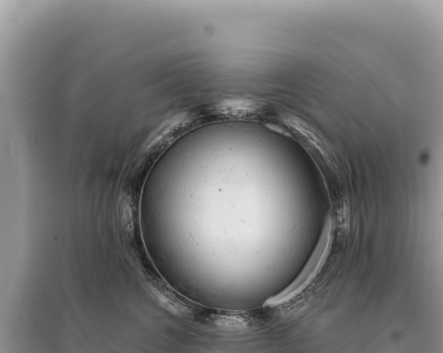 X0000095510572200712211243