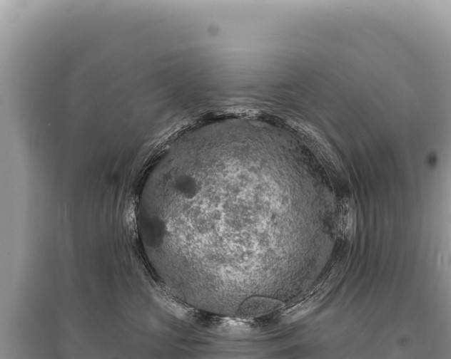 X0000095510573200712211243