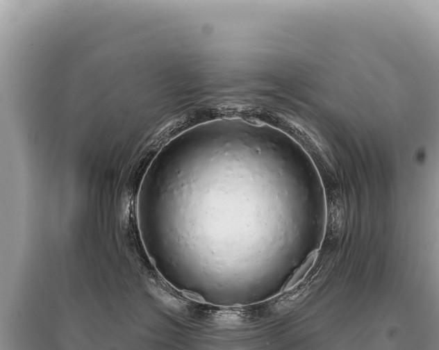 X0000095510574200712211243
