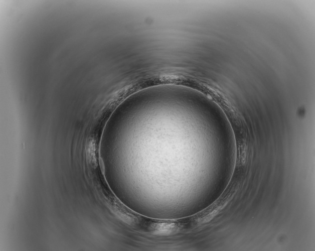 X0000095510575200712211243