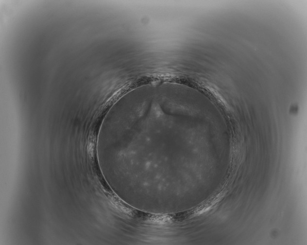 X0000095510576200712211243