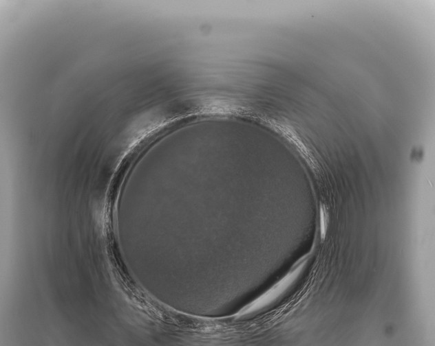 X0000095510579200712211242