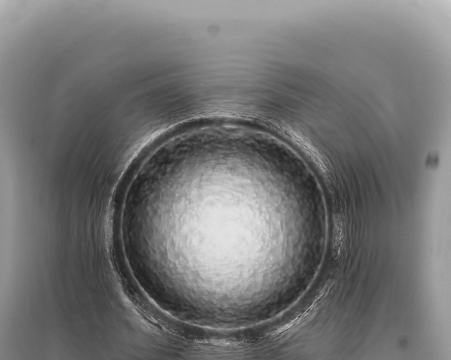 X0000095510580200712211242