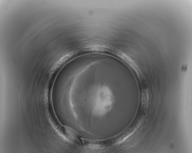 X0000095510581200712211242