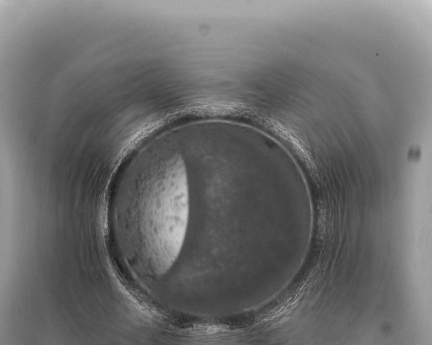 X0000095510582200712211242