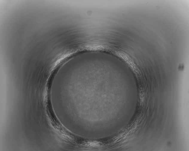 X0000095510583200712211242