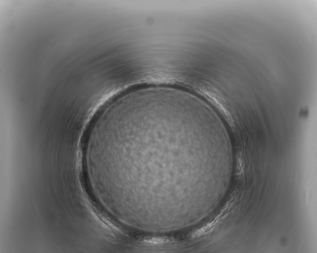 X0000095510584200712211242