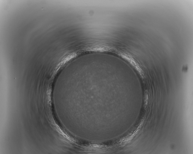 X0000095510585200712211242
