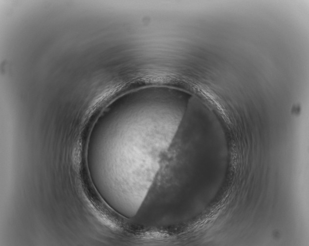 X0000095510586200712211242