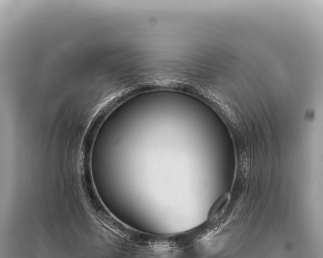 X0000095510587200712211242