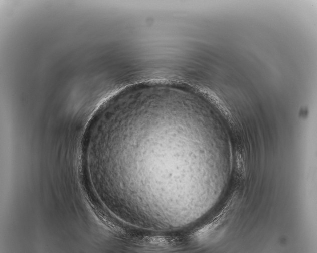 X0000095510588200712211242