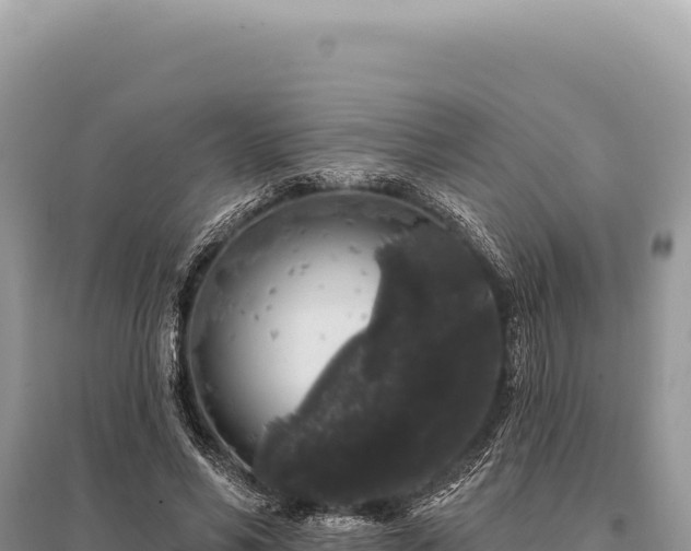 X0000095510590200712211242
