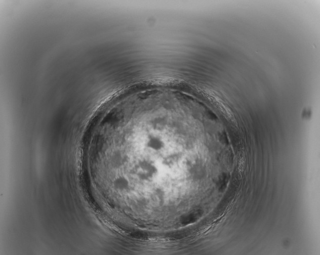 X0000095510591200712211242