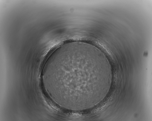 X0000095510592200712211242