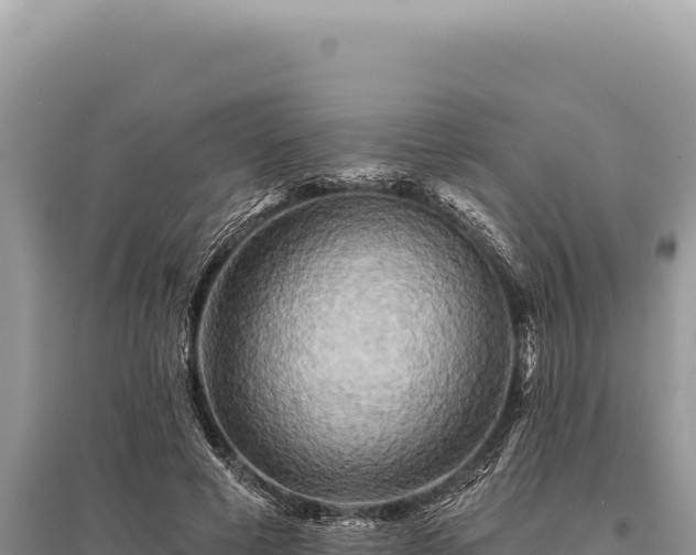 X0000095510593200712211242