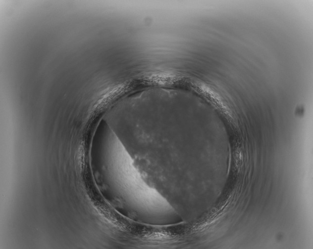 X0000095510594200712211242