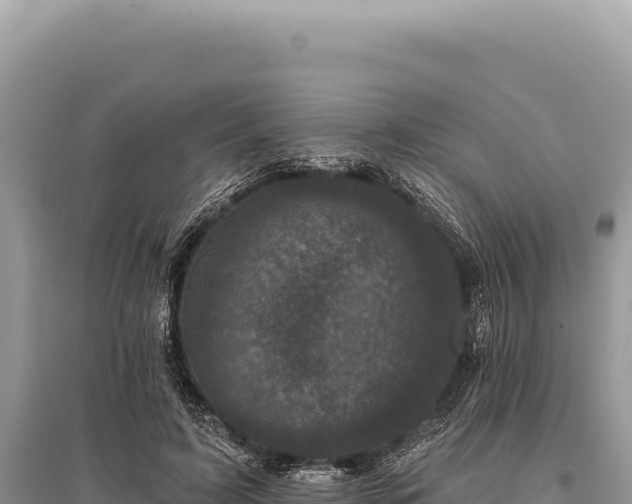 X0000095510595200712211242