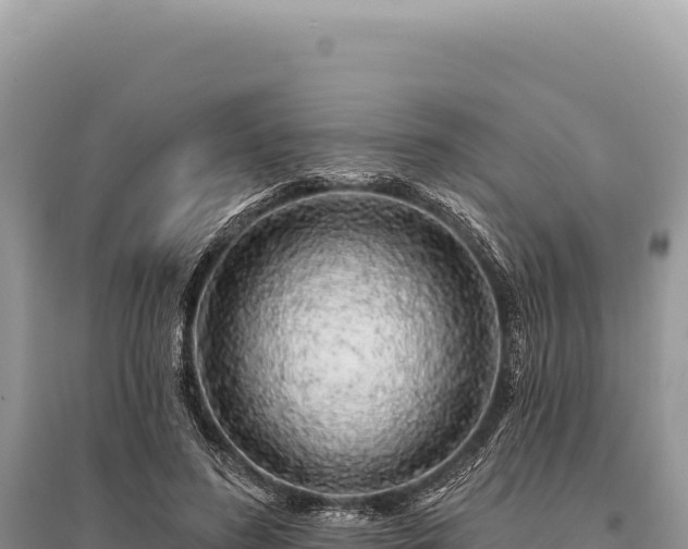 X0000095510596200712211242