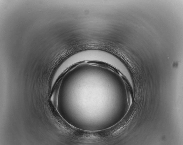 X0000095510597200712211242
