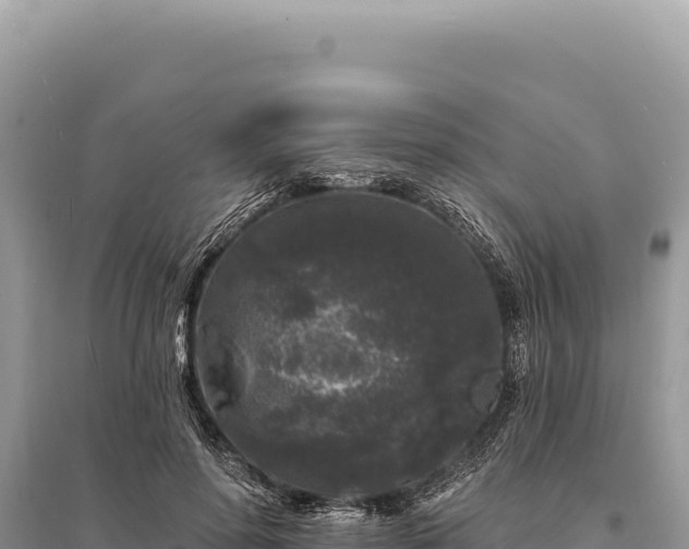 X0000095510598200712211242