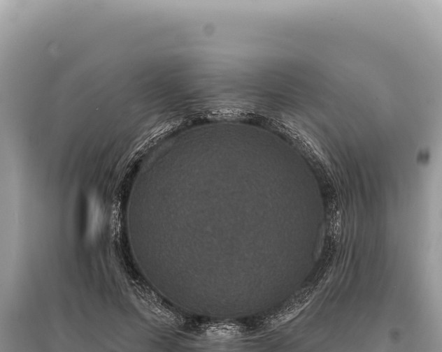 X0000095510599200712211242