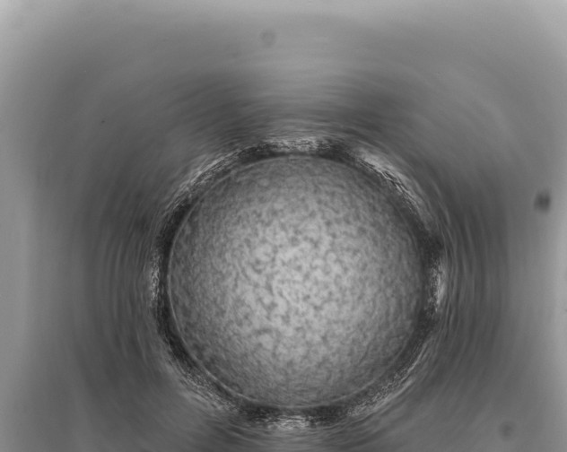 X0000095510600200712211242