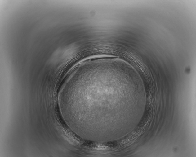 X0000095510601200712211242