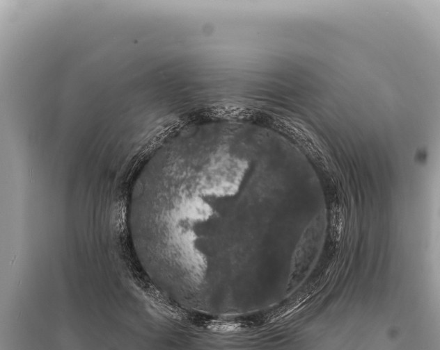 X0000095510602200712211242