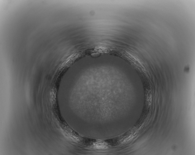 X0000095510603200712211242