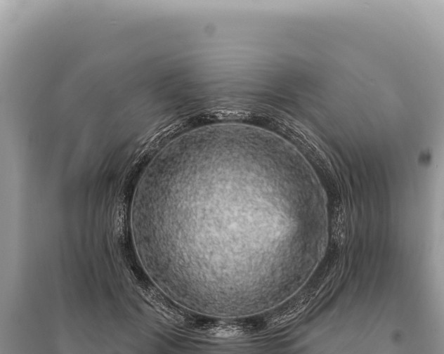 X0000095510604200712211242