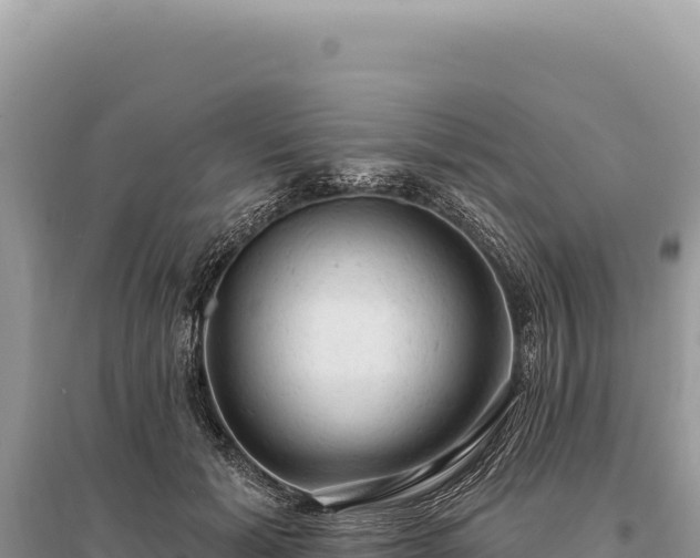 X0000095510605200712211242