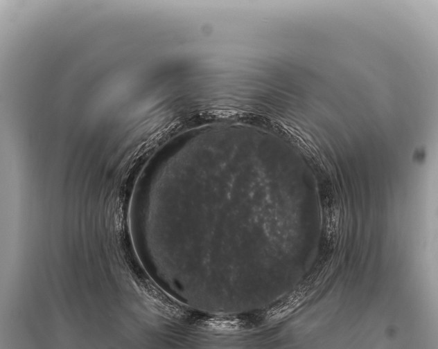 X0000095510606200712211242