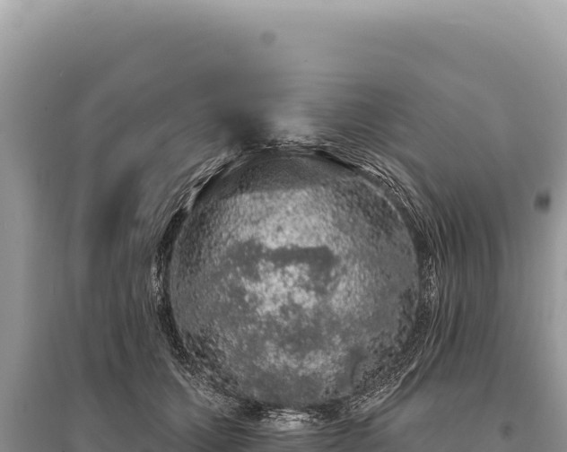 X0000095510607200712211242