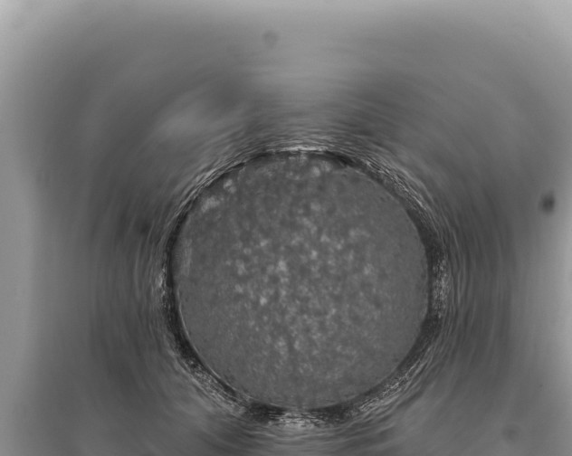 X0000095510608200712211241