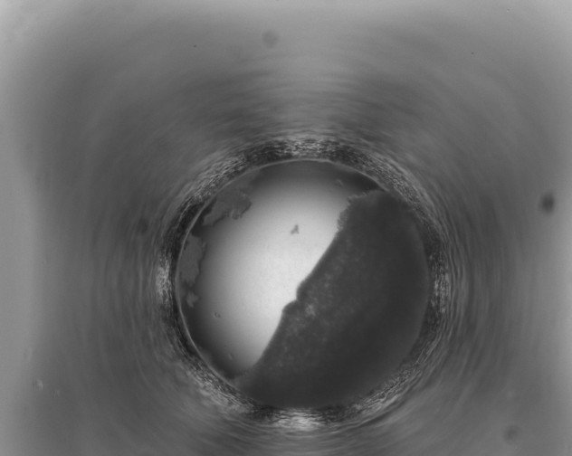 X0000095510610200712211241