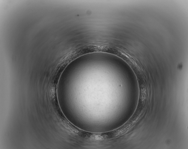X0000095510613200712211241