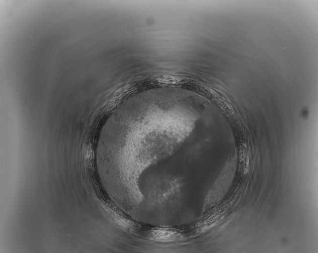 X0000095510614200712211241