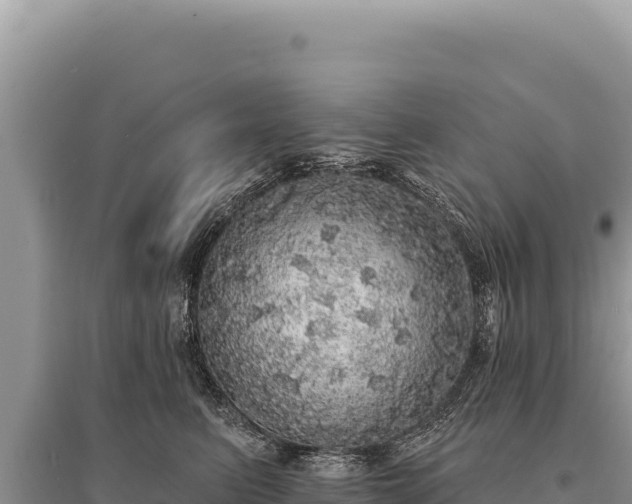 X0000095510615200712211241
