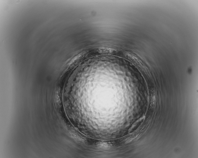 X0000095510616200712211241