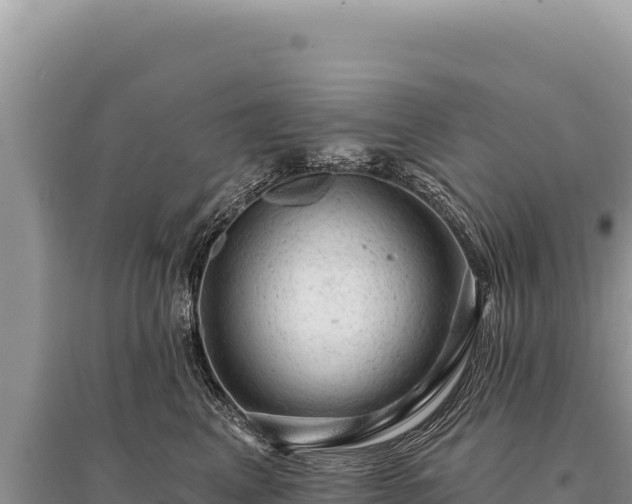 X0000095510617200712211241